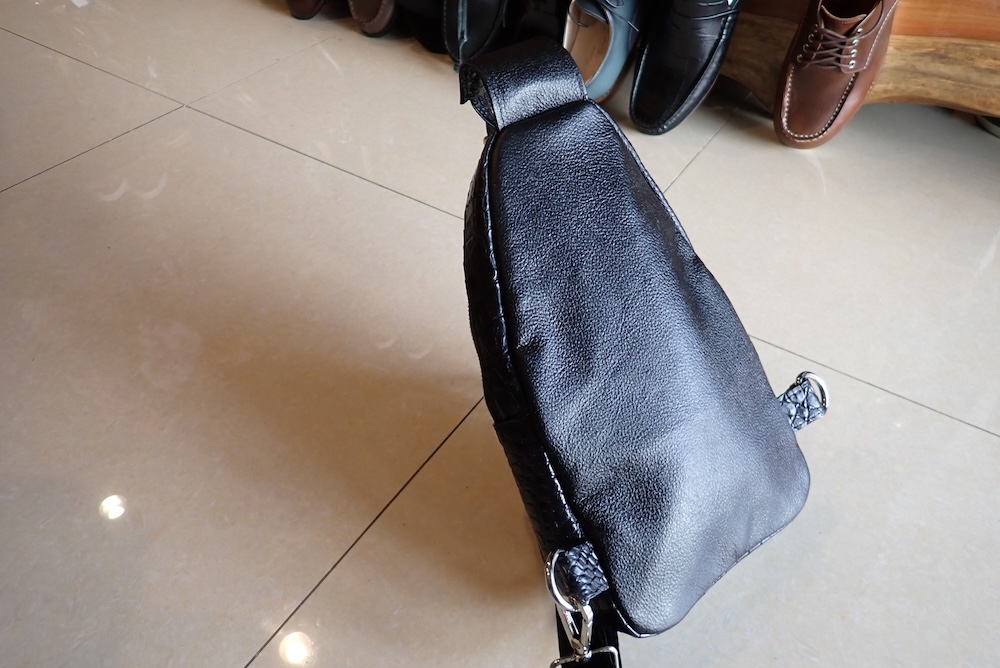  bags lizard 